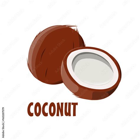 Logo Coconut vector farm design Stock Vector | Adobe Stock