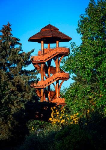 Tree Tower - Five Rivers MetroParks