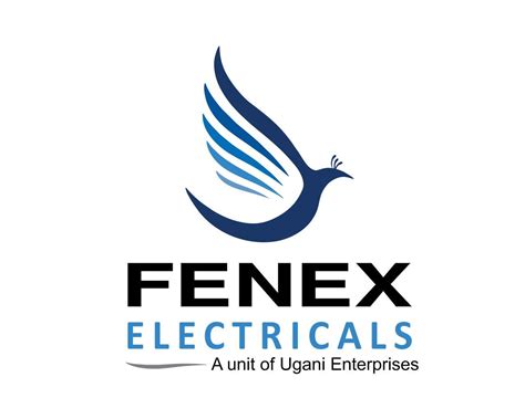 Fenex Electricals - Manufacturer of Travel Charger & USB Cable from Bhuj