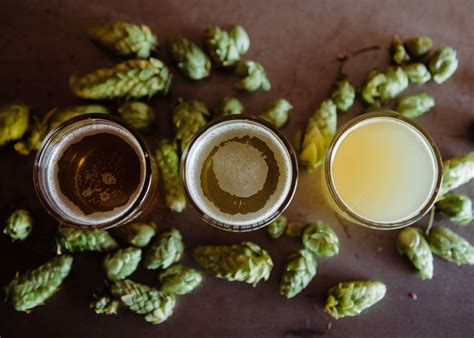 Hop Flavors & Aromas - Beer Maverick