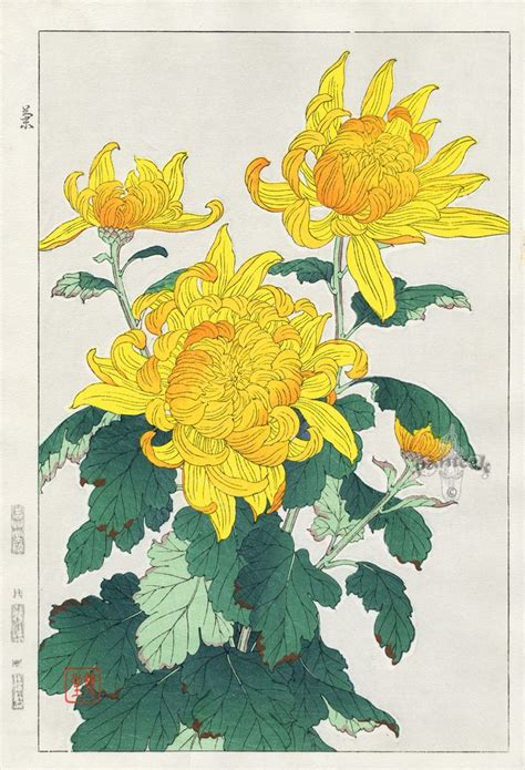 Yellow Chrysanthemum | Kawarazaki Japanese Art | #Japanese #Art #Flowers #Chrysanthemum ...