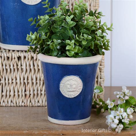 Kew Garden Long Tom Small Plant Pot Indigo Blue | Royal Botanic Gardens Pot | Kew Planters for ...