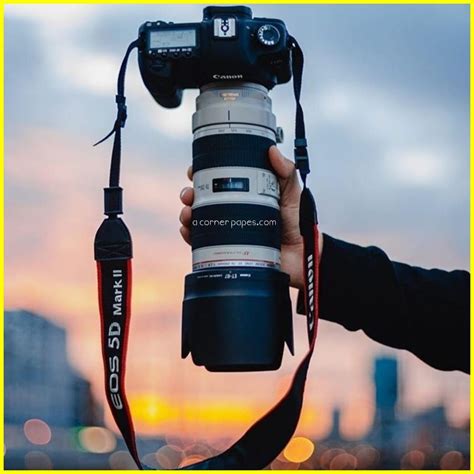 Best Camera in the World | Photography camera, Best camera for ...