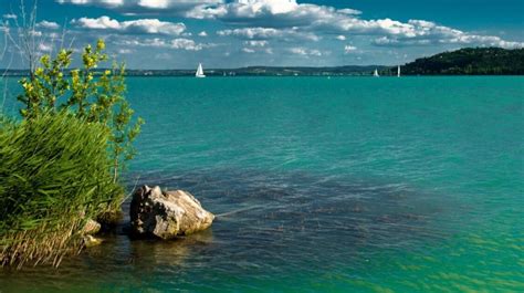 Ilyen a Balaton vize | Házipatika