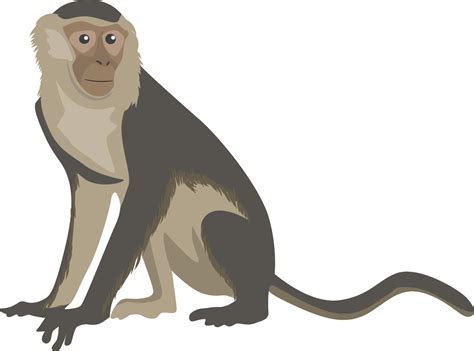 Monkey Clipart Transparent Background