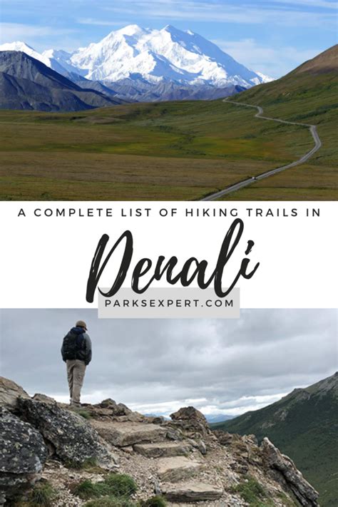 Best Hikes in Denali National Park: All 20 Trails Ranked