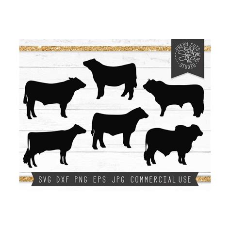 Cow SVG, Show Cows SVG Cut File, Cow Silhouettes, Brahmin Co - Inspire Uplift