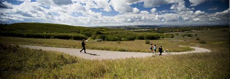 Nose Hill Park | Trail and Pathway Plan | CSLA