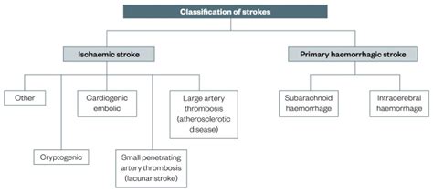 Stroke: classification and diagnosis - The Pharmaceutical Journal