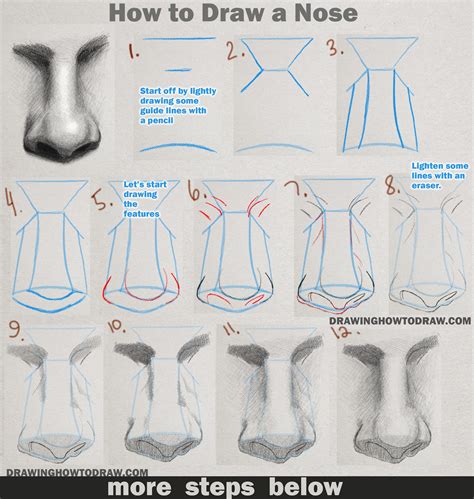 Step By Step Drawing Noses