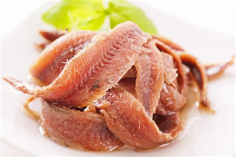 Anchovies | Fish | Properties and benefits of anchovies