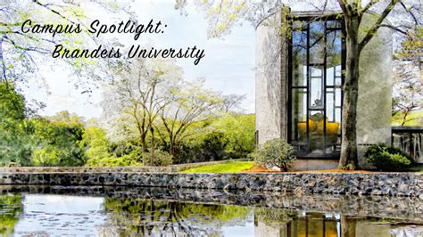 Campus Spotlight: Brandeis University – EuropeNow