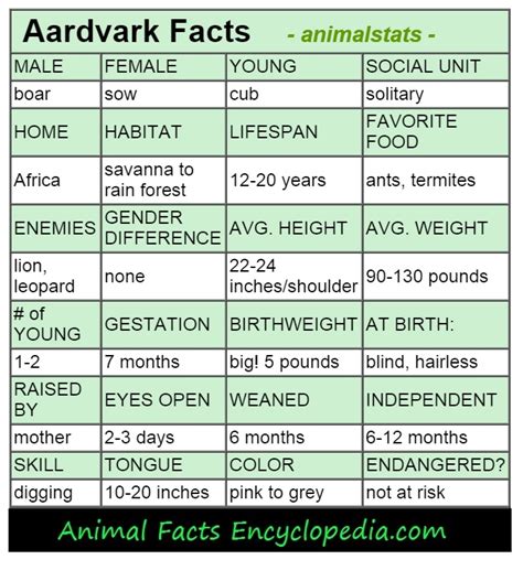 Aardvark Facts - Animal Facts Encyclopedia