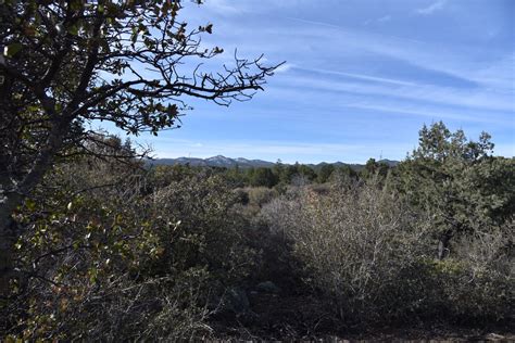 Prescott trails: Spence Basin hike from Spence Springs trailhead: Pics