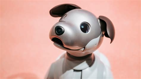 Whatever Happened To Sony's Aibo Robot Dog?