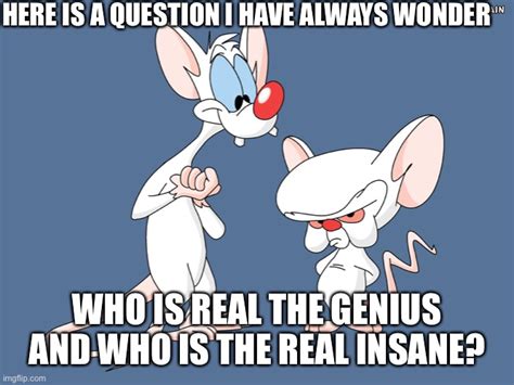 Relatable Pinky And The Brain Pix Animaniacs Funny Funny Memes | Images and Photos finder