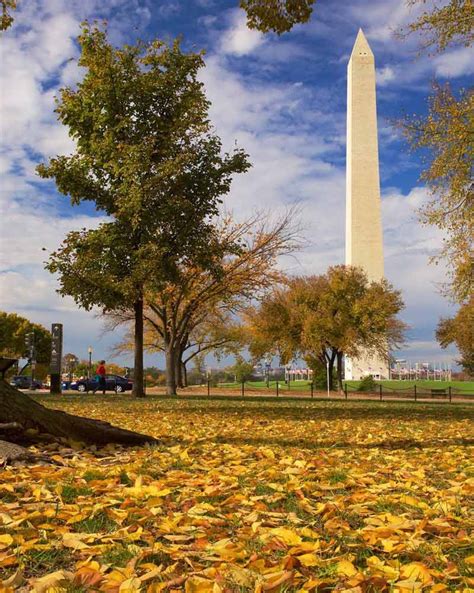 Best Places to Photograph Fall Foliage in DC | Washington DC