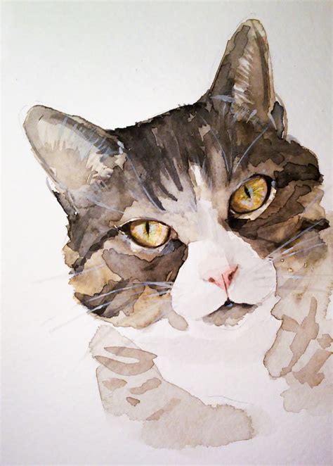 Watercolor cats on Behance | Watercolor cat, Cat portraits, Watercolor