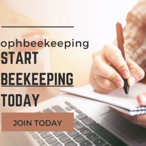 beginner beekeeper training online | services | beekeeping training