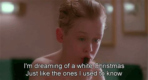 Home Alone Funny Quotes. QuotesGram