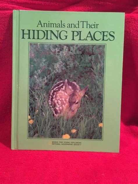 Animals & Their Hiding Places National Geographic Young Explorers Hardcover Book | eBay