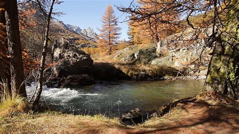panajan:Autumn river in france - Tumblr Pics