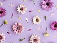 90 Best Purple flower background ideas | flower backgrounds, purple flower background, iphone ...