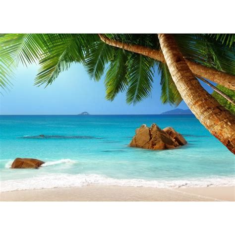 Cocotier Paysage Plage Dessin - pic-connect