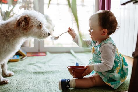 30 Adorable Photos of Dogs and Babies Playing Together | Funny baby photos, Cute dog pictures ...