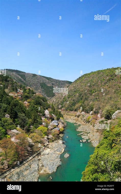 Cherry blossoms in Kyoto Arashiyama Stock Photo - Alamy