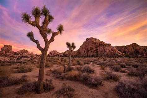 Gallery – Desert Landscapes