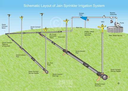 Sprinkler System Pipe Layout