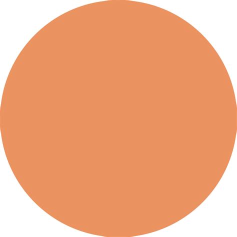 Apricot Crush circular vinyl rug - TenStickers