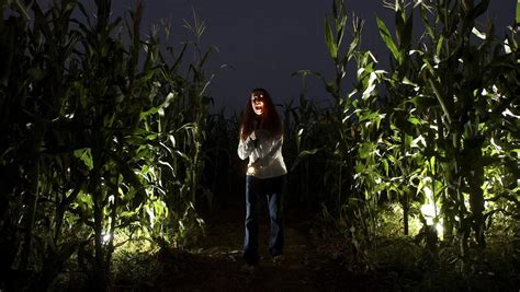 10 Halloween corn mazes around Arizona