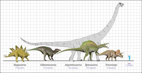 Dinosaurs Size | Comparison of Dinosaurs size (scale diagram… | Flickr