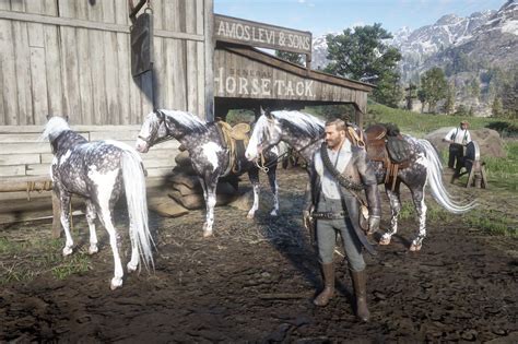 Silver dapple pinto rdr2