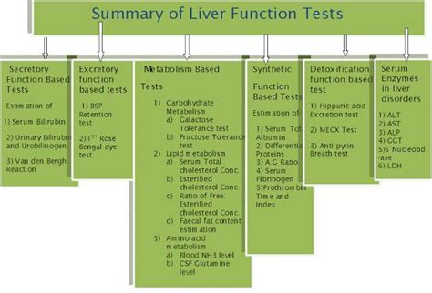 Liver function test | Liver function test, Nursing mnemonics, Basic ...