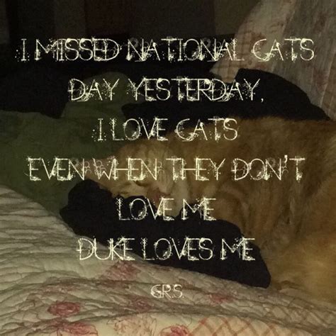 Pin by Gail Strejc on My Quotes | National cat day, National cat, Cat day