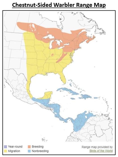 Blackpoll Warbler Migration Map