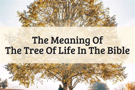 Tree Of Life Meaning Bible: Epic Key To Immortality (2023)