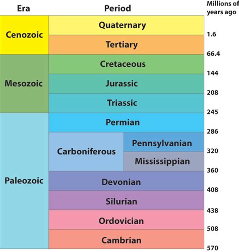 Fossils 3.6