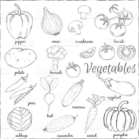 Vegetables Line Drawing at GetDrawings | Free download