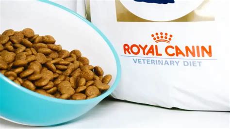 Which Dog Food Is Similar To Royal Canin - Explore 5 Options