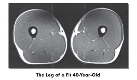 How Age Affects Muscle Growth