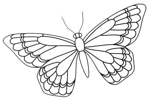 butterfly zentangle template | Butterfly coloring page, Butterfly drawing, Butterfly drawing outline