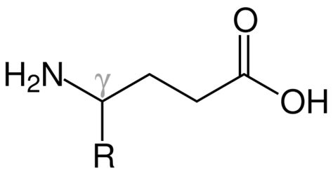 What is the Difference Between Alpha Beta and Gamma Amino Acids - Pediaa.Com