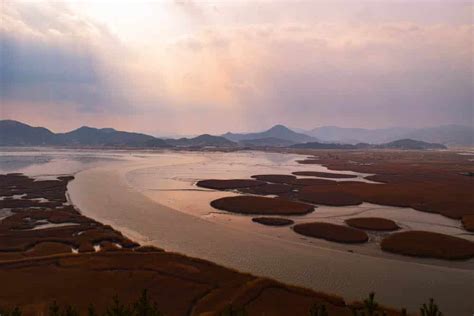 Guide to Suncheon Bay National Garden - Chapter Travel