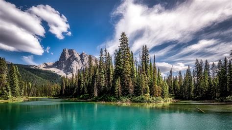 Linda Paisagem Natural, Floresta, Lago Verde, Montanha