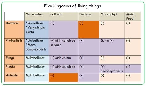 kingdoms of biology chart Kingdoms of living organisms