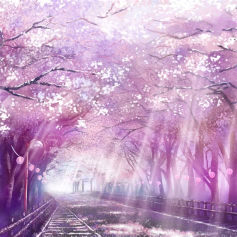 Pink Anime Scenery Wallpapers - Top Free Pink Anime Scenery Backgrounds ...